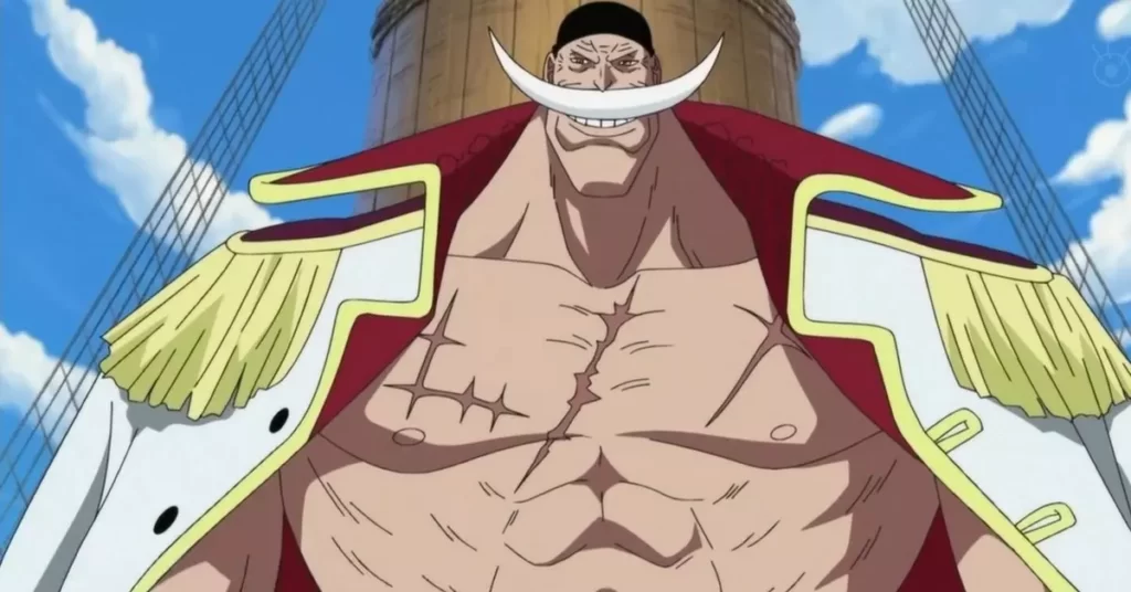 The 15 Highest Bounties In One Piece (Ranked)