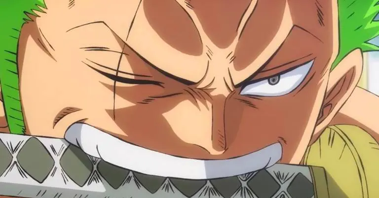 How did Zoro lose his eye?
